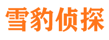 张家川市侦探公司